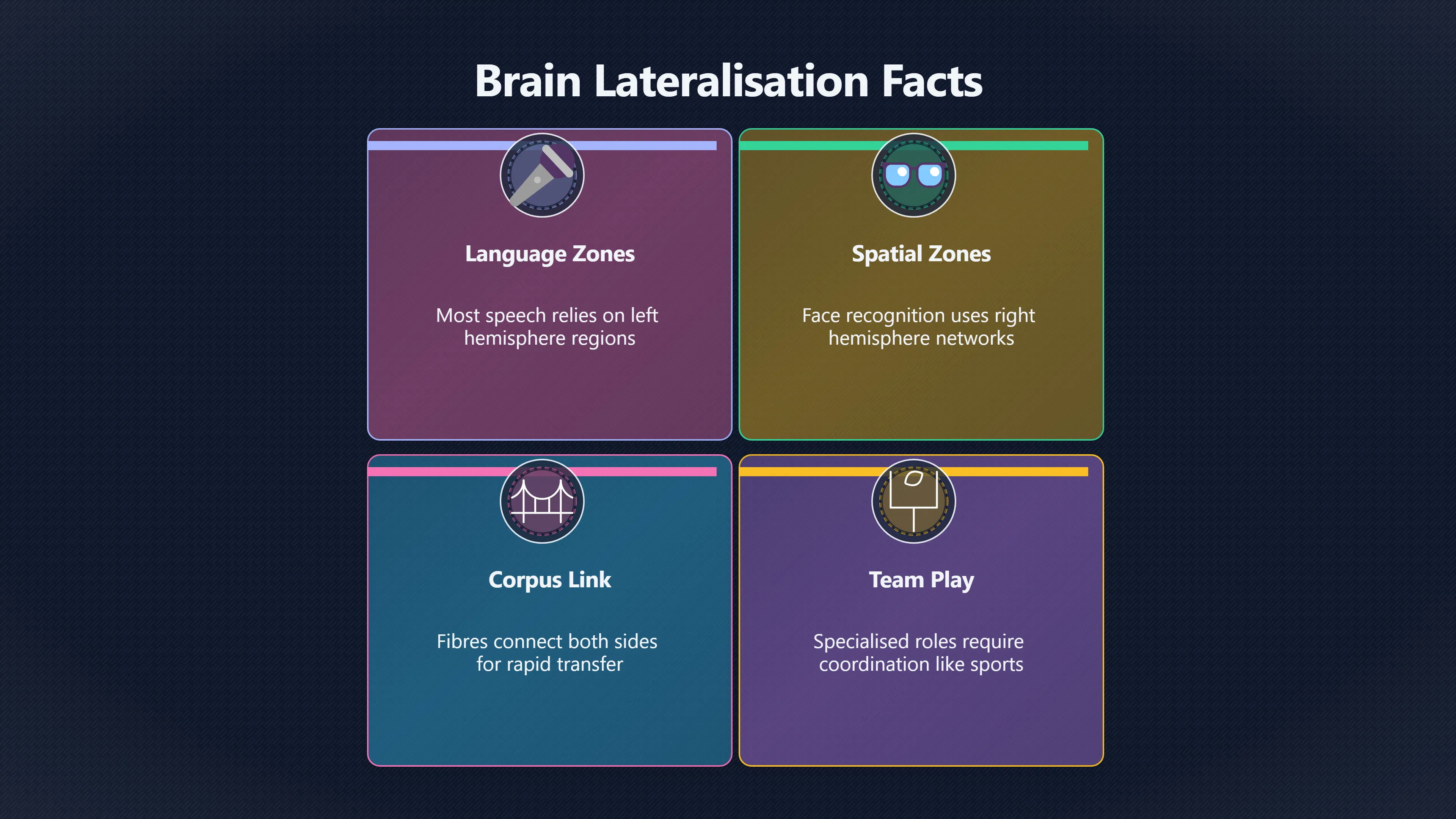 Overview image for What brain lateralisation really means | Left Brain