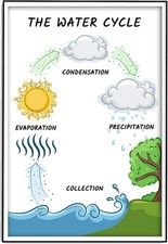 Listing image for Water Cycle Poster 12x18 Science Classroom Decor Elementary Middle High