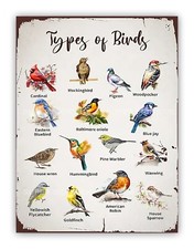 Listing image for Types Of Birds Metal Chart Sign For Bedroom Den Classroom Garden