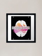 Listing image for Human Brain Anatomy With Inspiratio Framed Wall Art Poster Canvas Print Picture