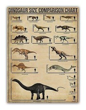 Listing image for Dinosaur Size Chart Metal Chart Sign For Bedroom Kitchen Den Classroom