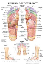 Listing image for UK ☑☑ - Reflexology of the Foot Wall Art Poster Human Anatomy Medical Print