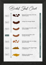 Listing image for Bristol Stool Chart Medical Diagram Framed Wall Art Poster Canvas Print Picture